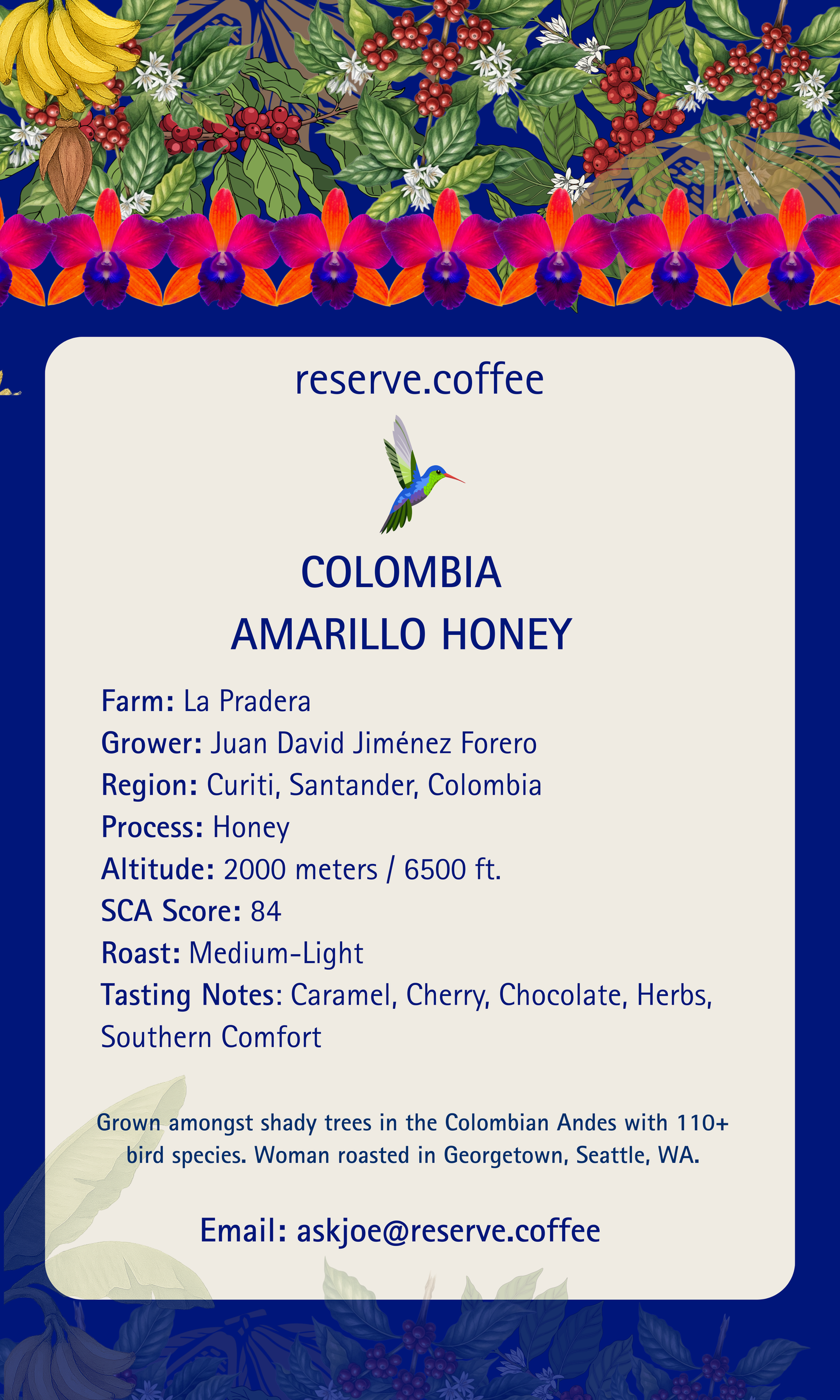 Colombia Amarillo Honey – Available Now