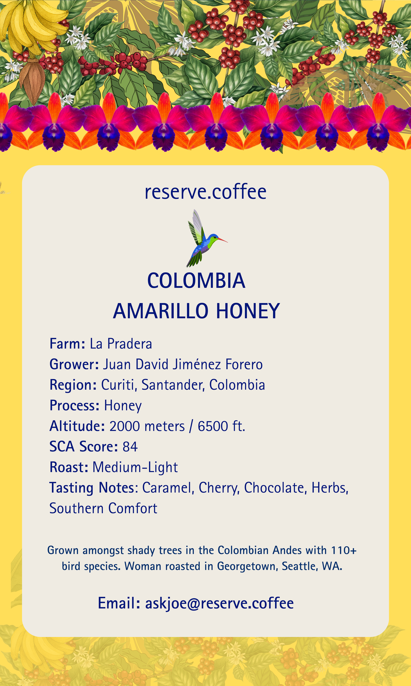 Colombia Amarillo Honey – Available Now