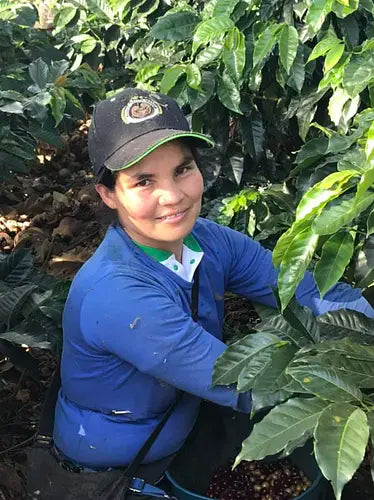 Tabi - Pre Order For Summer 2026