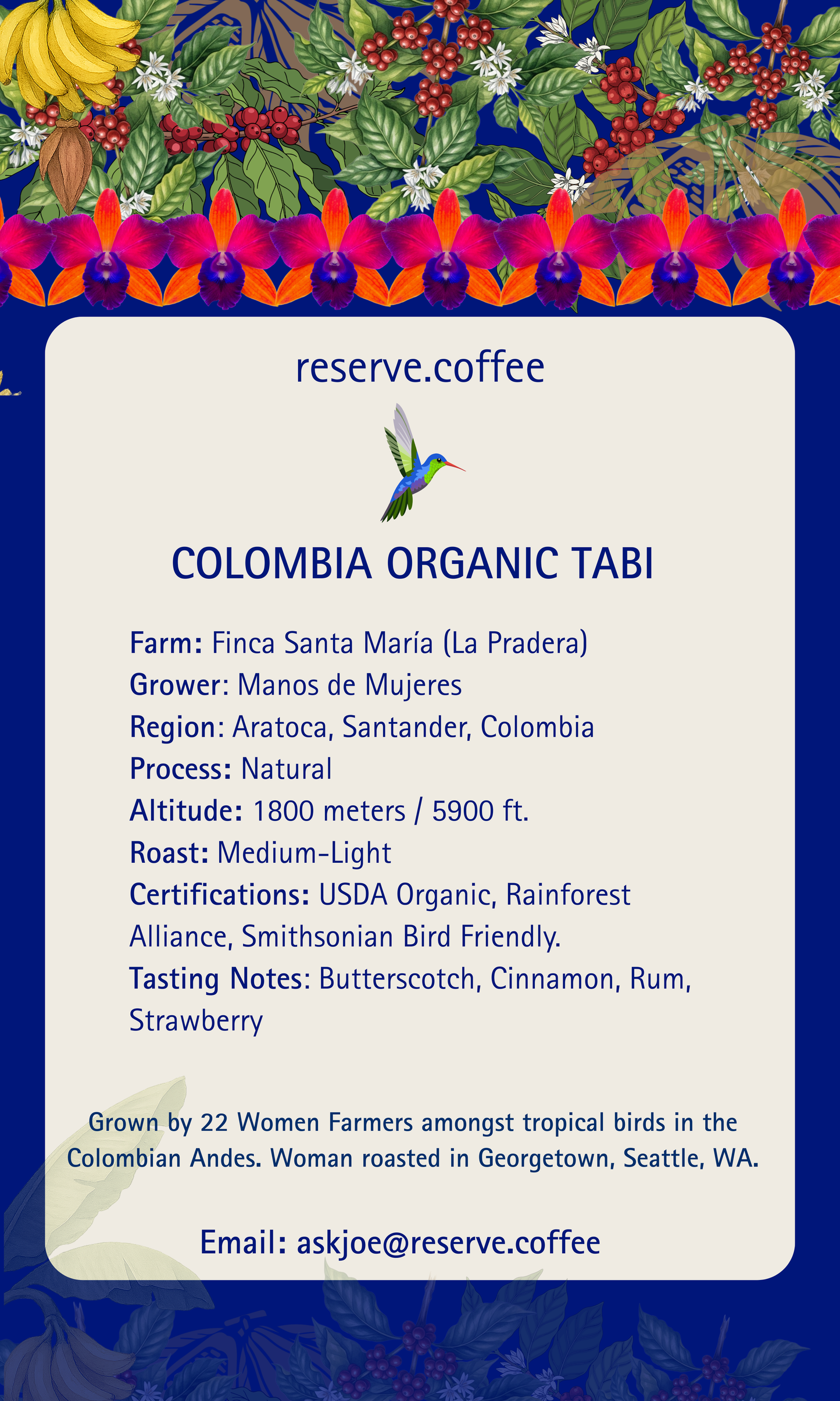 Tabi - Pre Order For Summer 2026