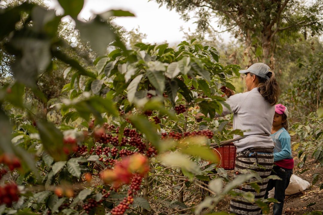 Colombia Tabi Honey - Bird Friendly and Woman Farmed - Very Limited Stock!