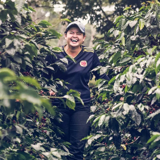 Colombia Tabi Honey - Bird Friendly and Woman Farmed - Very Limited Stock!